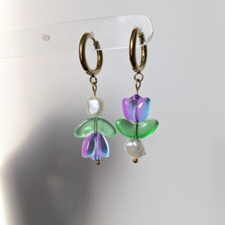 Tulipa