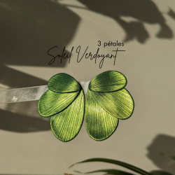 Twilight_20240531_075819_0026